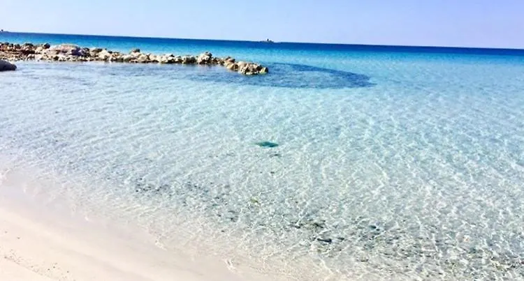 Punta Lepre Apartment Porto Rotondo