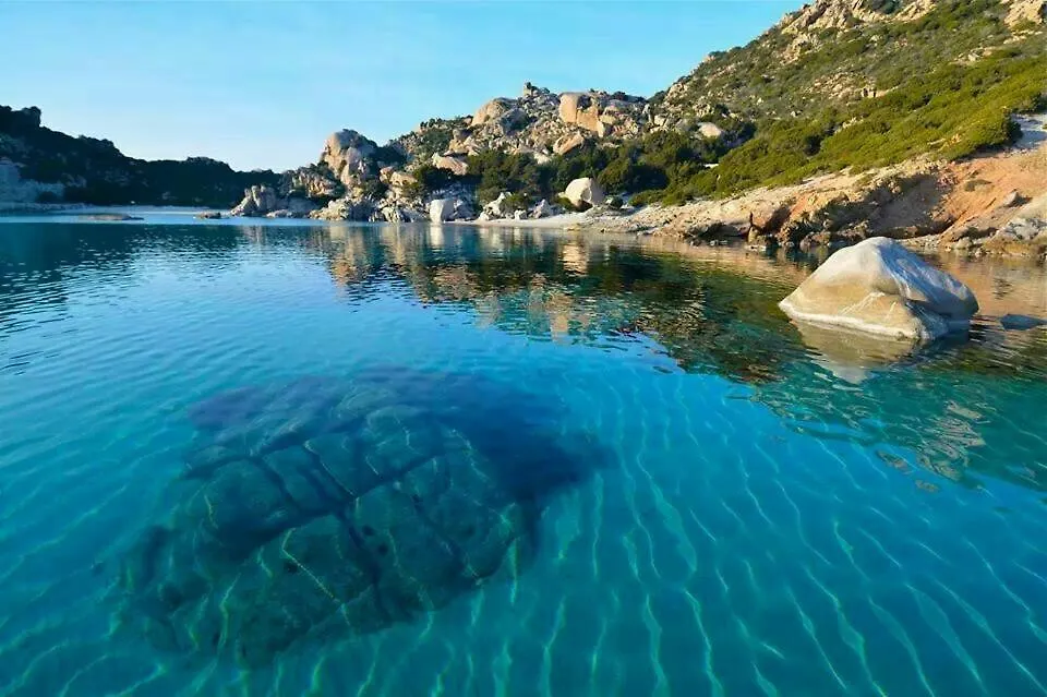 Punta Lepre Apartment Porto Rotondo